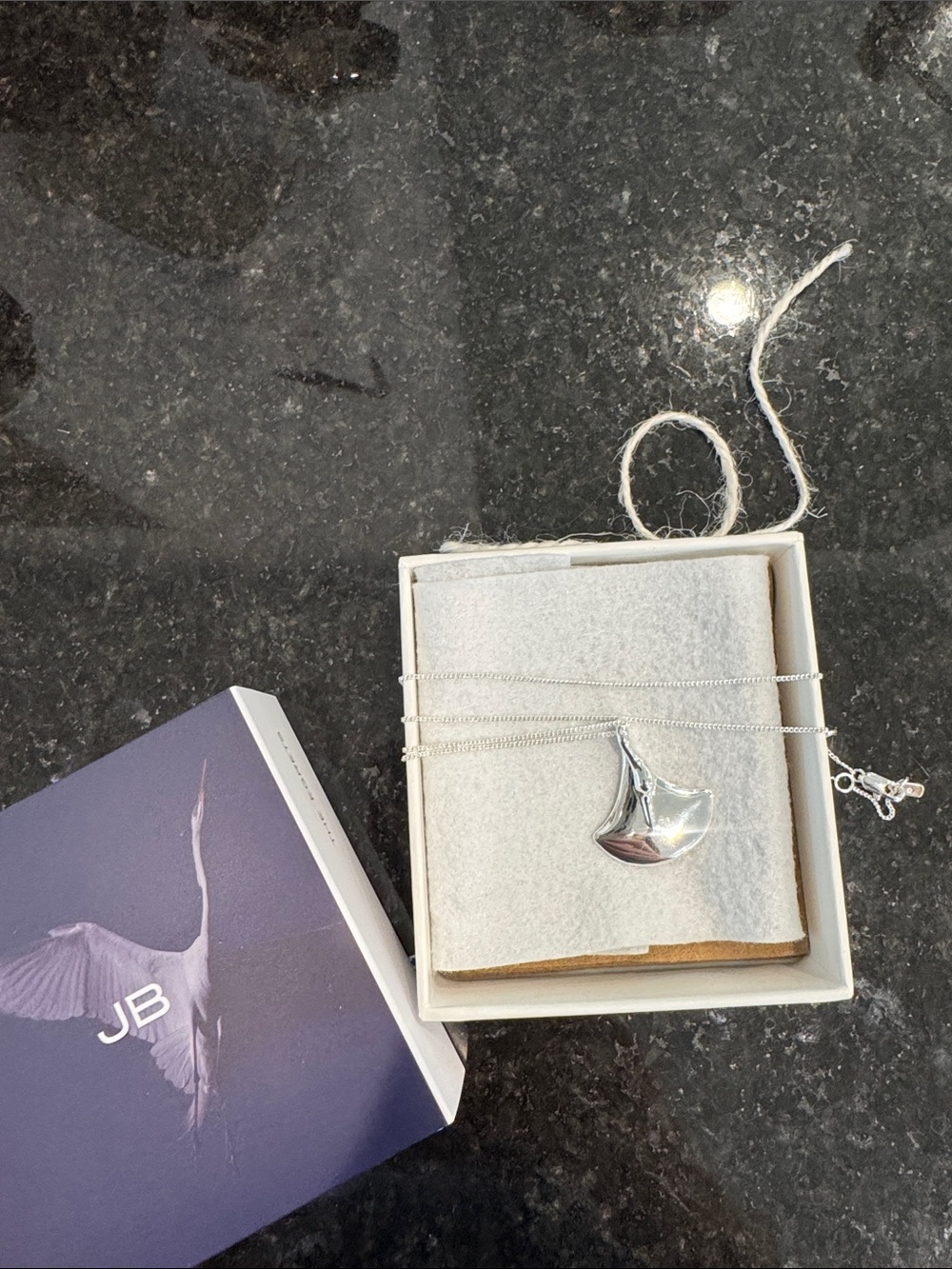 Jenny Bird Sterling Silver Pendant Necklace